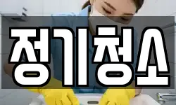 정기청소
