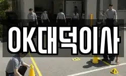 OK대덕이사