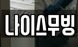 나이스무빙