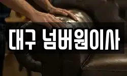 대구 넘버원이사