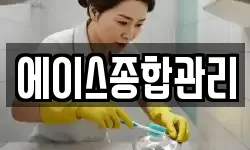 에이스종합관리
