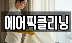에어픽클리닝