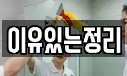 이유있는정리