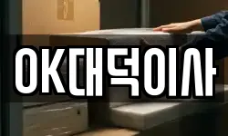 OK대덕이사