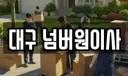 대구 넘버원이사