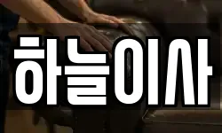 하늘이사