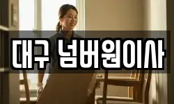 대구 넘버원이사
