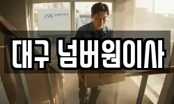 대구 넘버원이사