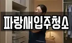 파랑새입주청소