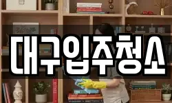 대구입주청소
