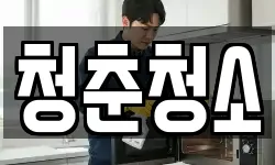 청춘청소