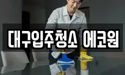 대구입주청소 에코원