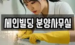 세인빌딩 분양사무실