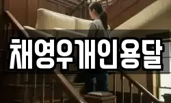 채영우개인용달