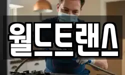 월드트랜스
