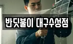 반딧불이 대구수성점