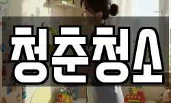 청춘청소