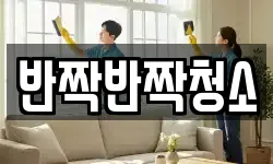 반짝반짝청소
