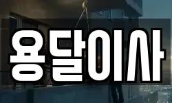 용달이사