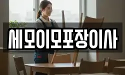 세모이모포장이사