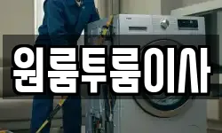 원룸투룸이사