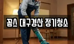 꼼스 대구경산 정기청소