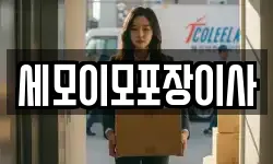 세모이모포장이사