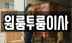 원룸투룸이사
