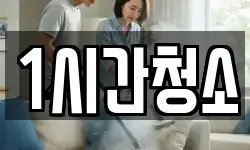 1시간청소