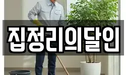 집정리의달인