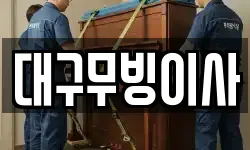 대구무빙이사