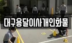 대구용달이사개인화물