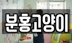 분홍고양이