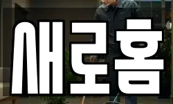 새로홈