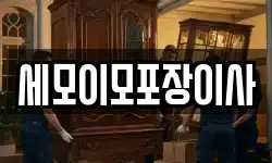 세모이모포장이사