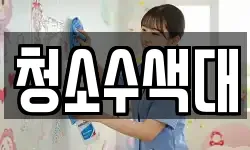 청소수색대