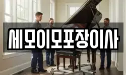 세모이모포장이사