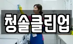 청솔클린업
