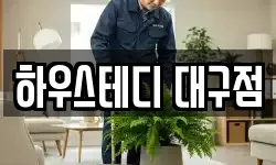하우스테디 대구점
