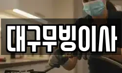 대구무빙이사