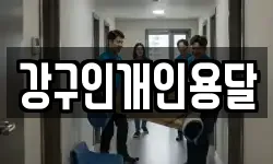 강구인개인용달