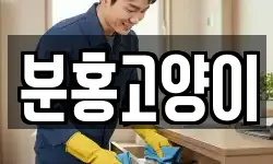 분홍고양이