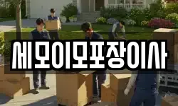 세모이모포장이사