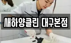 새하양클린 대구본점