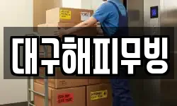 대구해피무빙