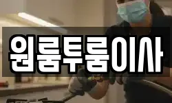 원룸투룸이사