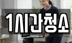 1시간청소