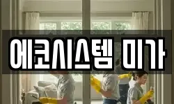 에코시스템 미가