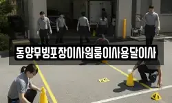 동양무빙포장이사원룸이사용달이사