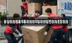 용달이사원룸투룸이사사무실이사일반이사포장이사